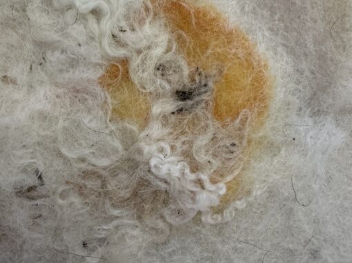 Vilt detail