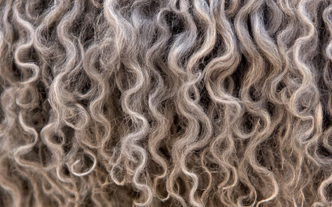 Sandra Kingma wol krullen